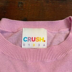 Crush lightweight sweater pink size 2 M